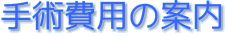 手術費用の案内